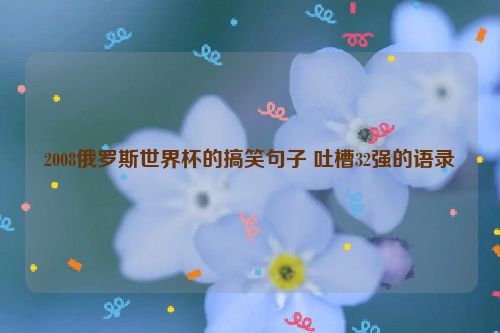 2008俄罗斯世界杯的搞笑句子 吐槽32强的语录