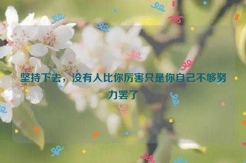 坚持下去，没有人比你厉害只是你自己不够努力罢了