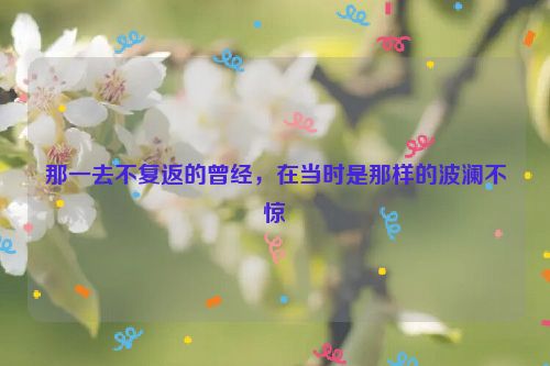 那一去不复返的曾经，在当时是那样的波澜不惊