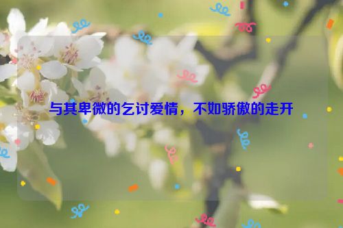 与其卑微的乞讨爱情，不如骄傲的走开