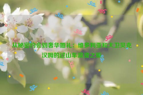 从秘密约会到奢华婚礼：维多利亚和大卫贝克汉姆的过山车浪漫之旅