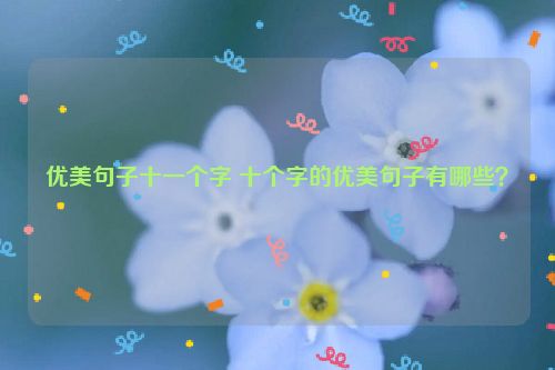 优美句子十一个字 十个字的优美句子有哪些？