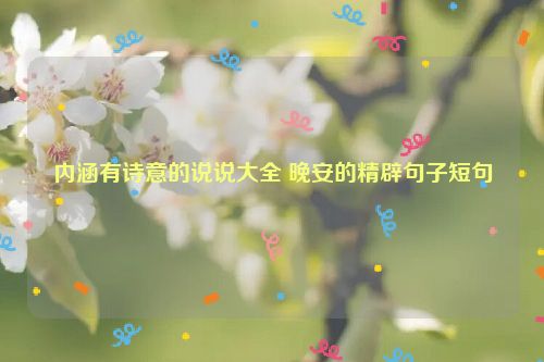 内涵有诗意的说说大全 晚安的精辟句子短句