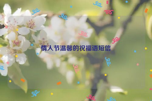 情人节温馨的祝福语短信