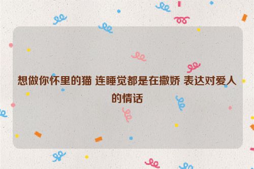 想做你怀里的猫 连睡觉都是在撒娇 表达对爱人的情话