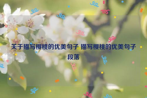 关于描写樱桃的优美句子 描写樱桃的优美句子段落