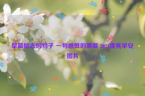 早晨励志的句子 一句感慨的清晨 2021漂亮早安图片