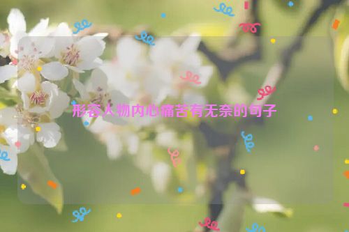 形容人物内心痛苦有无奈的句子