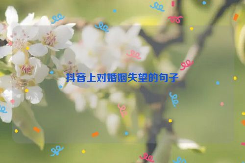 抖音上对婚姻失望的句子