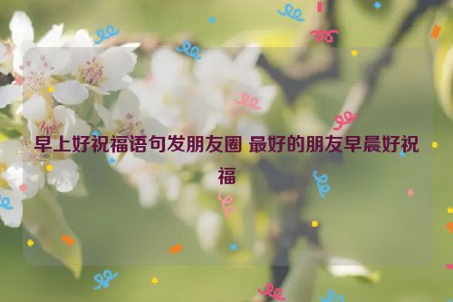 早上好祝福语句发朋友圈 最好的朋友早晨好祝福