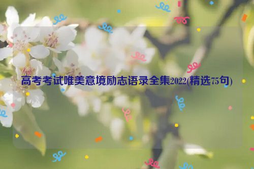 高考考试唯美意境励志语录全集2022(精选75句)