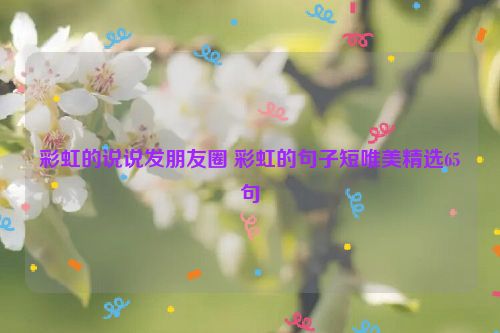 彩虹的说说发朋友圈 彩虹的句子短唯美精选65句