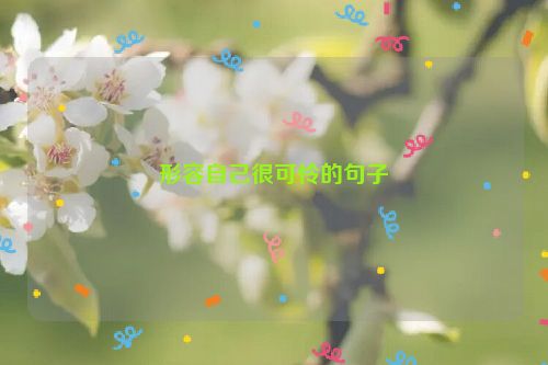 形容自己很可怜的句子