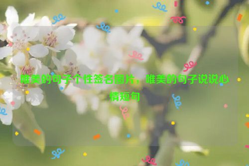 唯美的句子个性签名图片，唯美的句子说说心情短句