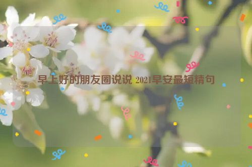 早上好的朋友圈说说 2021早安最短精句