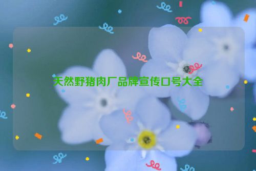 天然野猪肉厂品牌宣传口号大全