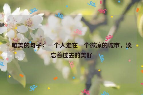 唯美的句子：一个人走在一个微凉的城市，淡忘着过去的美好