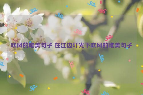 吹风的唯美句子 在江边灯光下吹风的唯美句子