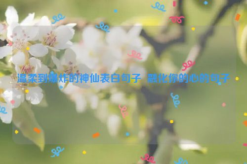 温柔到爆炸的神仙表白句子  融化你的心的句子
