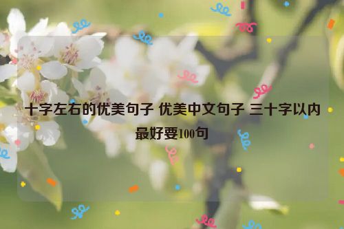 十字左右的优美句子 优美中文句子 三十字以内最好要100句