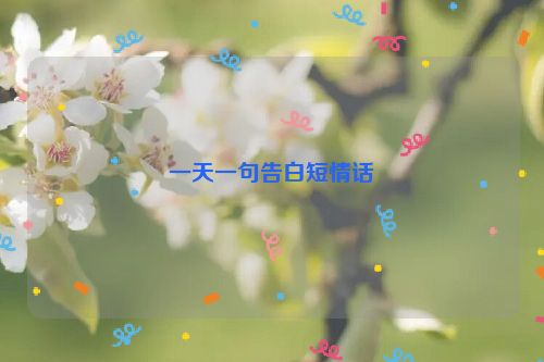 一天一句告白短情话