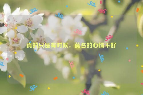 真的只是有时候，莫名的心情不好