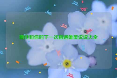 期待和你的下一次相遇唯美说说大全