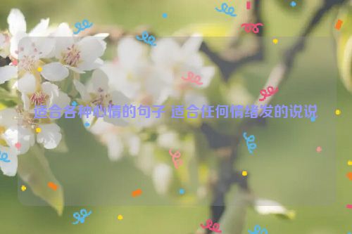 适合各种心情的句子 适合任何情绪发的说说