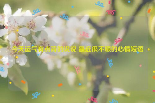 今天运气有点背的说说 最近很不顺的心情短语