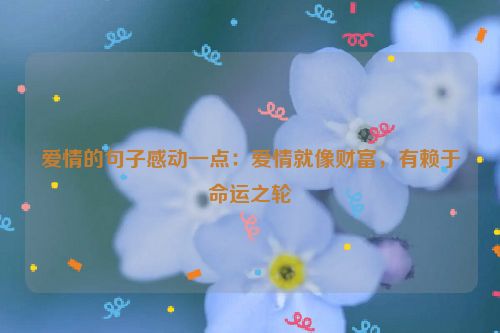 爱情的句子感动一点：爱情就像财富，有赖于命运之轮