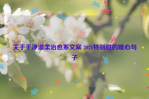 关于干净温柔治愈系文案 2021特别甜的暖心句子