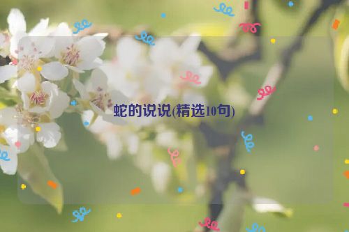 蛇的说说(精选10句)