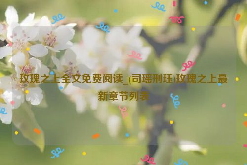 玫瑰之上全文免费阅读_(司瑶刑珏)玫瑰之上最新章节列表