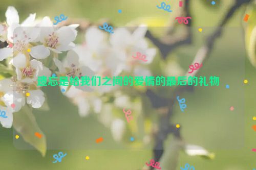 遗忘是给我们之间的爱情的最后的礼物