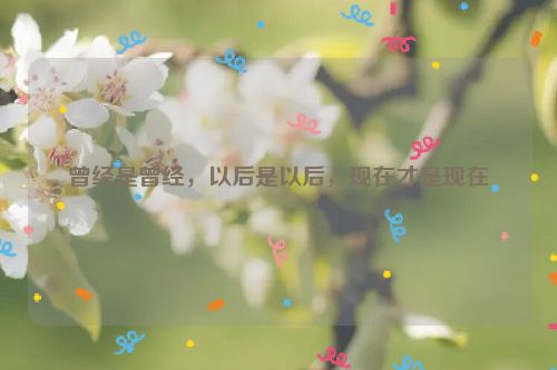 曾经是曾经，以后是以后，现在才是现在