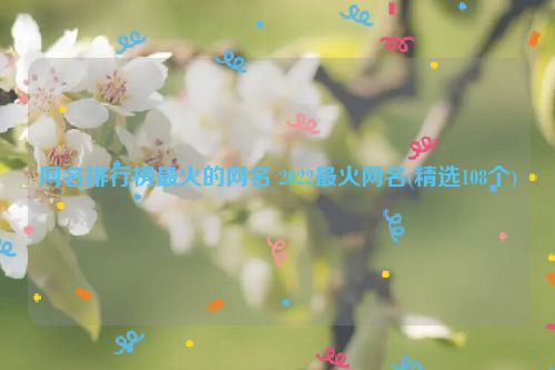 网名排行榜最火的网名 2022最火网名(精选108个)