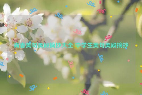 青春美句美段摘抄大全 中学生美句美段摘抄