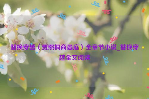 替换穿越（贾熙桐商晏庭）全章节小说_替换穿越全文阅读