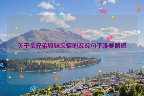 关于亲兄弟姐妹亲情的说说句子唯美简短