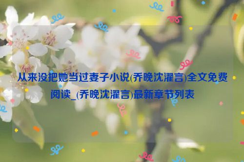 从来没把她当过妻子小说(乔晚沈濯言)全文免费阅读_(乔晚沈濯言)最新章节列表