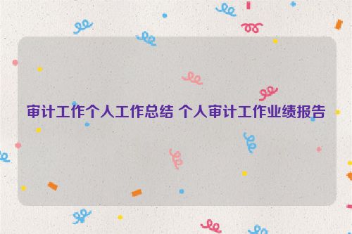 审计工作个人工作总结 个人审计工作业绩报告