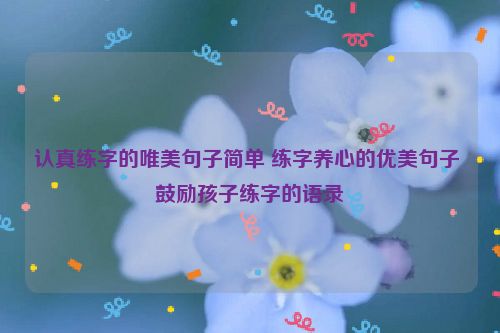 认真练字的唯美句子简单 练字养心的优美句子 鼓励孩子练字的语录