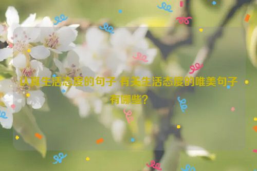 认真生活态度的句子 有关生活态度的唯美句子有哪些？