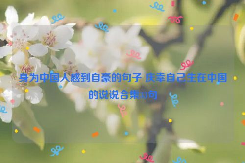 身为中国人感到自豪的句子 庆幸自己生在中国的说说合集33句