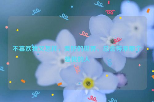 不喜欢我又怎样，美好的世界，总会等来那个爱我的人