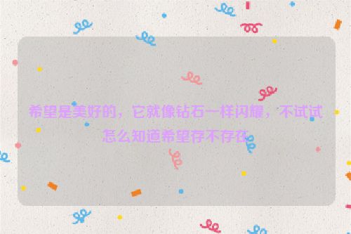 希望是美好的，它就像钻石一样闪耀，不试试怎么知道希望存不存在