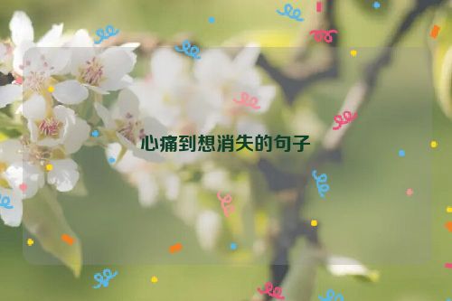 心痛到想消失的句子