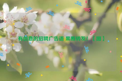 有创意的招聘广告语 果断转发！【图】