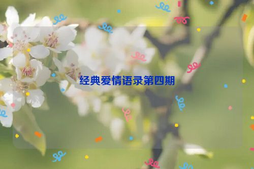 经典爱情语录第四期