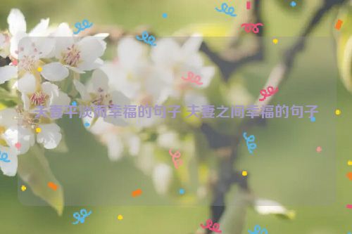 夫妻平淡而幸福的句子 夫妻之间幸福的句子